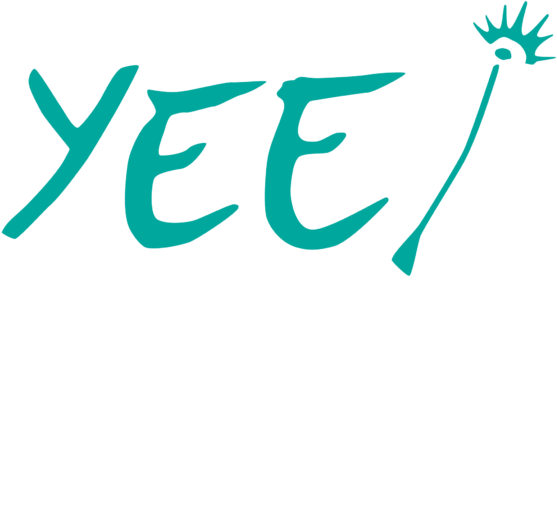 Youth and Environment Europe