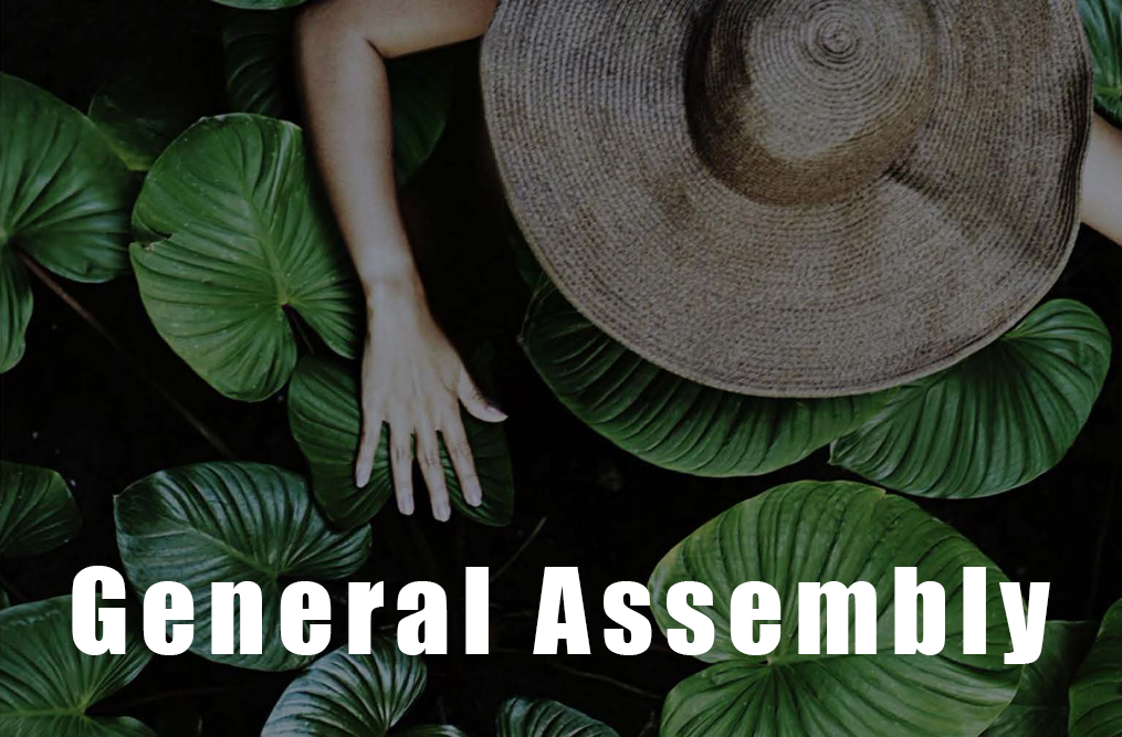 General Assembly